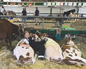 4-H kids borrow cows so they can show at the fair