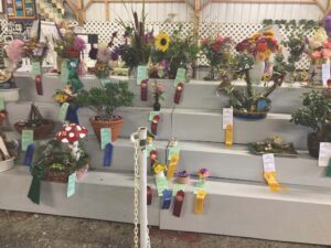 Field Days results: Home and Garden