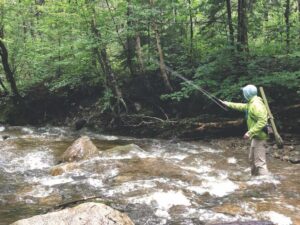Matthew Dickerson: Visiting angler finds trout and clear water