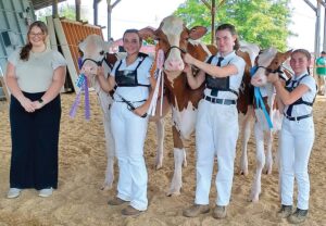 Area 4-H’ers do well at recent show