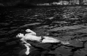 Rochester gallery opens exhibit of Vermont photography past & present