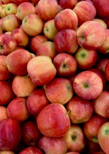 More cold storage in Shoreham now available for produce