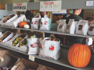 Fall fun unfolding at county orchards