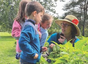 Community service in the garden