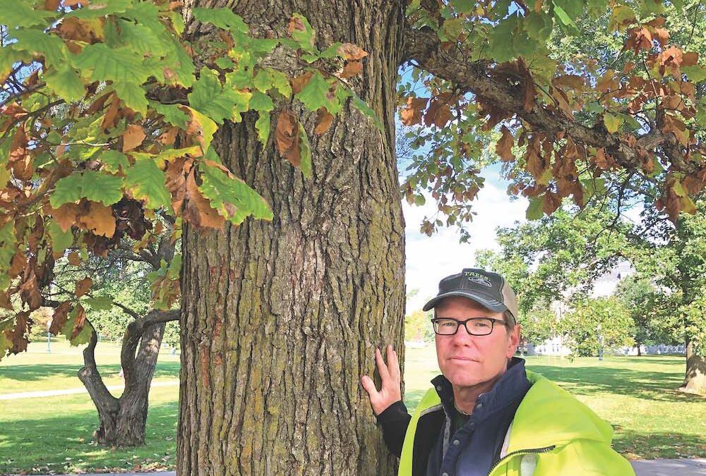 Rain and extreme weather dim foliage