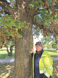 Rain and extreme weather dim foliage