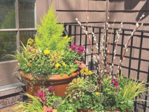Ask a master gardener: Four-season container gardens