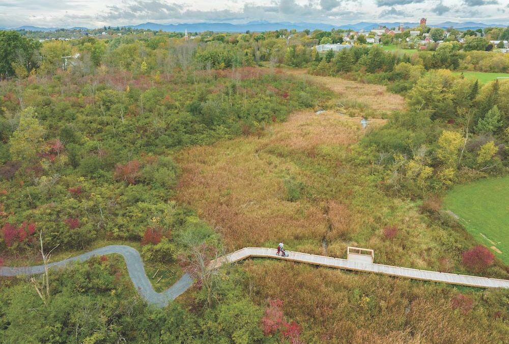 Little City seeks new councilor