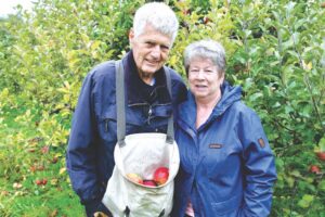 Orchards persevere in spite of weather