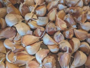 Ask a master gardener: It’s time to plant garlic