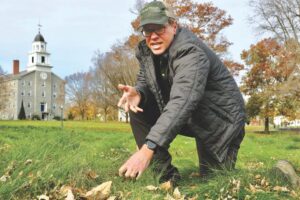 Rewilding to increase the ecological value