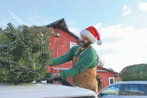 Tree farms start season strong