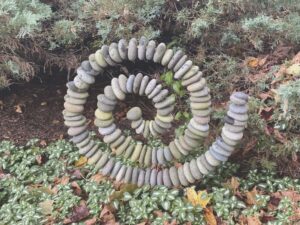Ask a Master Gardener: Think outside the flower box