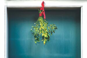 Ask a Master Gardener: Beneath the mistletoe