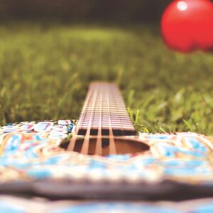 Vergennes musician releases new cover tune