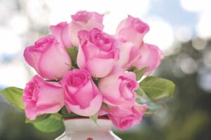 Ask a Master Gardener: Valentine’s Day flowers