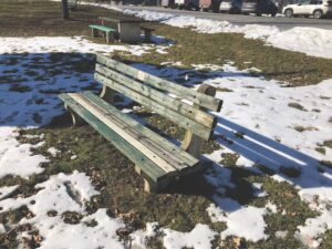 Orwell aims to replace park seats