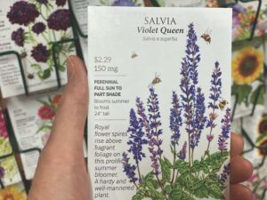 Ask a Master Gardener: Growing your own perennials
