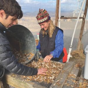 ‘Working bees’ tackle projects on local farms
