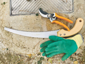 Ask a Master Gardener: Winter survival tips for gardeners