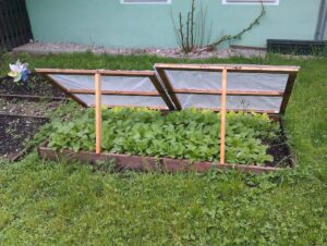 Ask a Master Gardener: Cold frames as season extenders