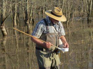 Bridport could leave mosquito control district