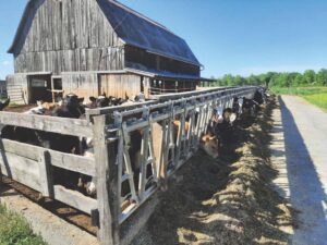 Orwell dairy farm gets new conservator