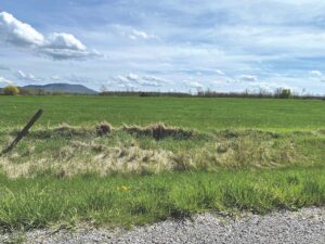 Letter to the editor: Panton solar plan is a bad idea