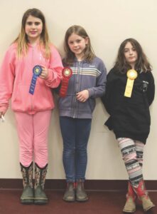 4-H members do well at hippology contest
