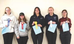 Wedge places at 4-H horse judging