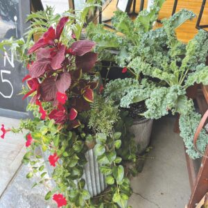 Ask a Master Gardner: Make outdoor spaces work for you