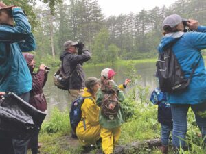 Go birding with Audubon Society on June 15