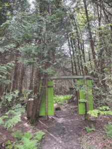 Walden Project offered a unique education