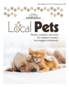 Local Pets 2024