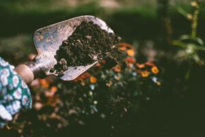 Ask a Master Gardener: Why you should test garden soils