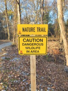 Ruminations on the Run: Millersville, Md. to Lumberton, N.C.