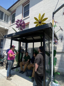 New art adorns Vergennes bus stop
