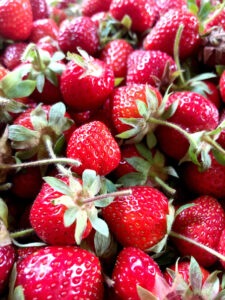 Shoreham Strawberry Fest is June 19