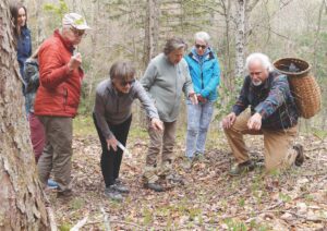 Three honored at Eco-Spirit night