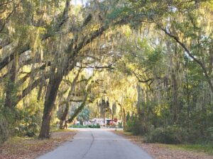 Ruminations on the Run: Hilton Head, S.C. to Jekyll Island, Ga.