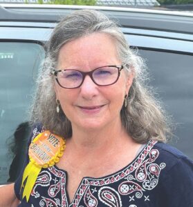 Candidate Q&A: Lesley J. Bienvenue, Republican, State Senate