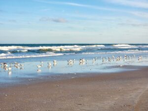 Ruminations on the Run: Jekyll Island, Ga. to St. Augustine Beach, Fl.