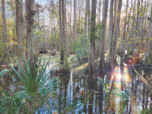 Ruminations on the Run: St. Augustine to Old Town, Fla.