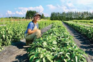 Area farms fare well despite wet weather