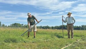 Hand mowing draws all ages