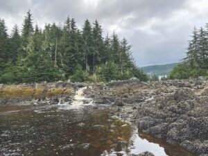 Matthew Dickerson: Adventures in Alaska’s Gruening Park