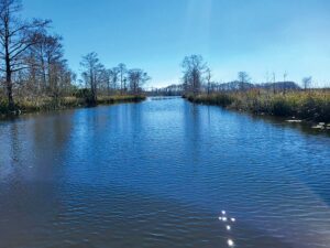 Ruminations on the Run: Memory and expectation on the road