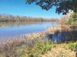 Ruminations on the Run: Eastpoint, Fl. to Prospect Bluff, Fl.