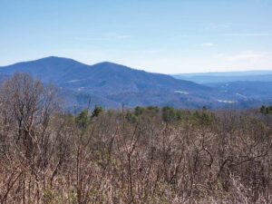 Ruminations on the Run: Appalachian Spring
