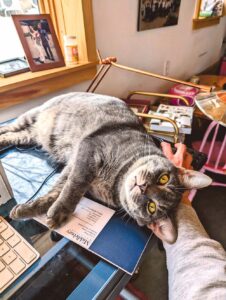 Pet tribute: Zion of Middlebury